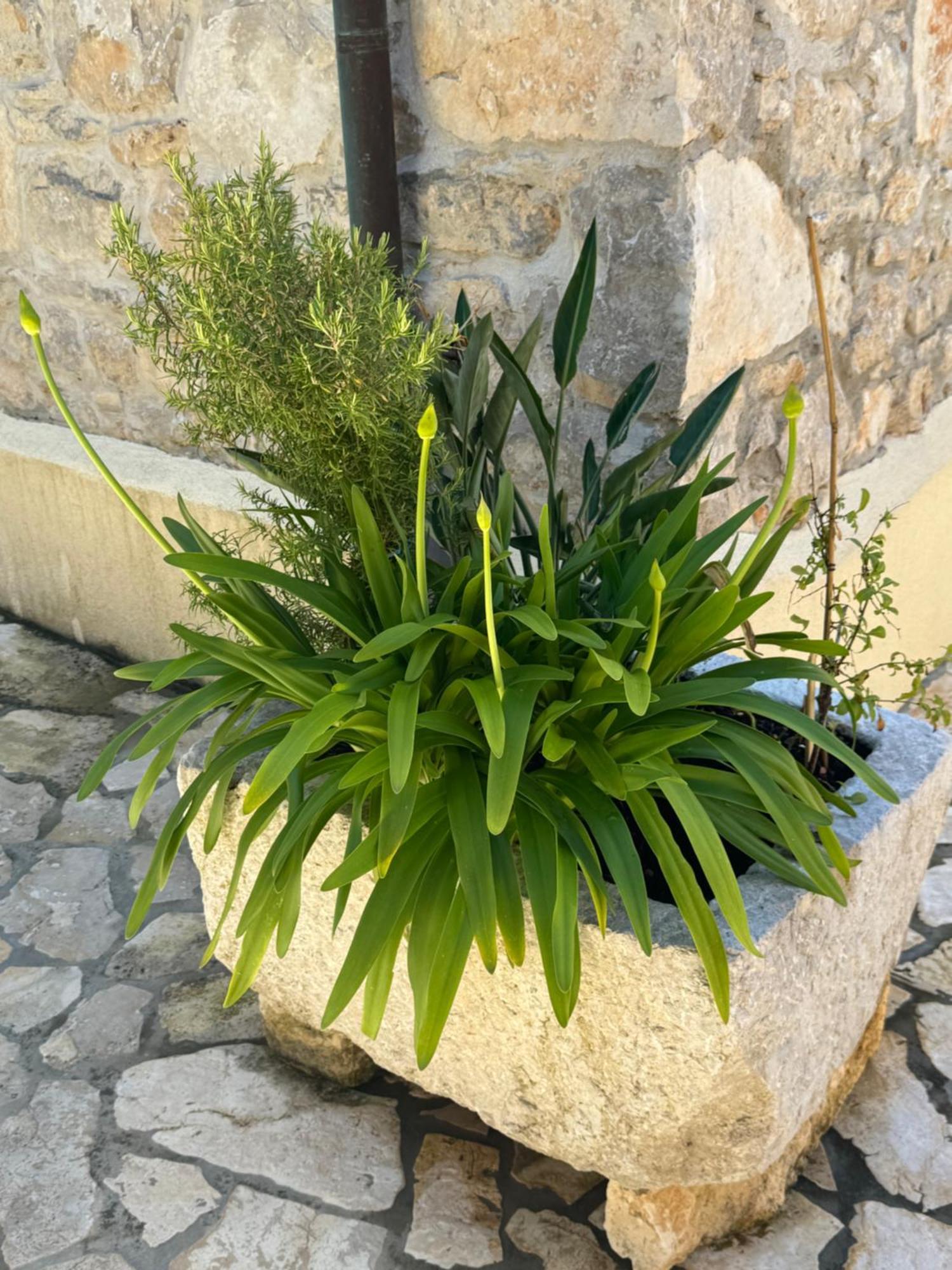 Mediterranes Ferienhaus M. Terrasse Veli Lošinj Екстериор снимка