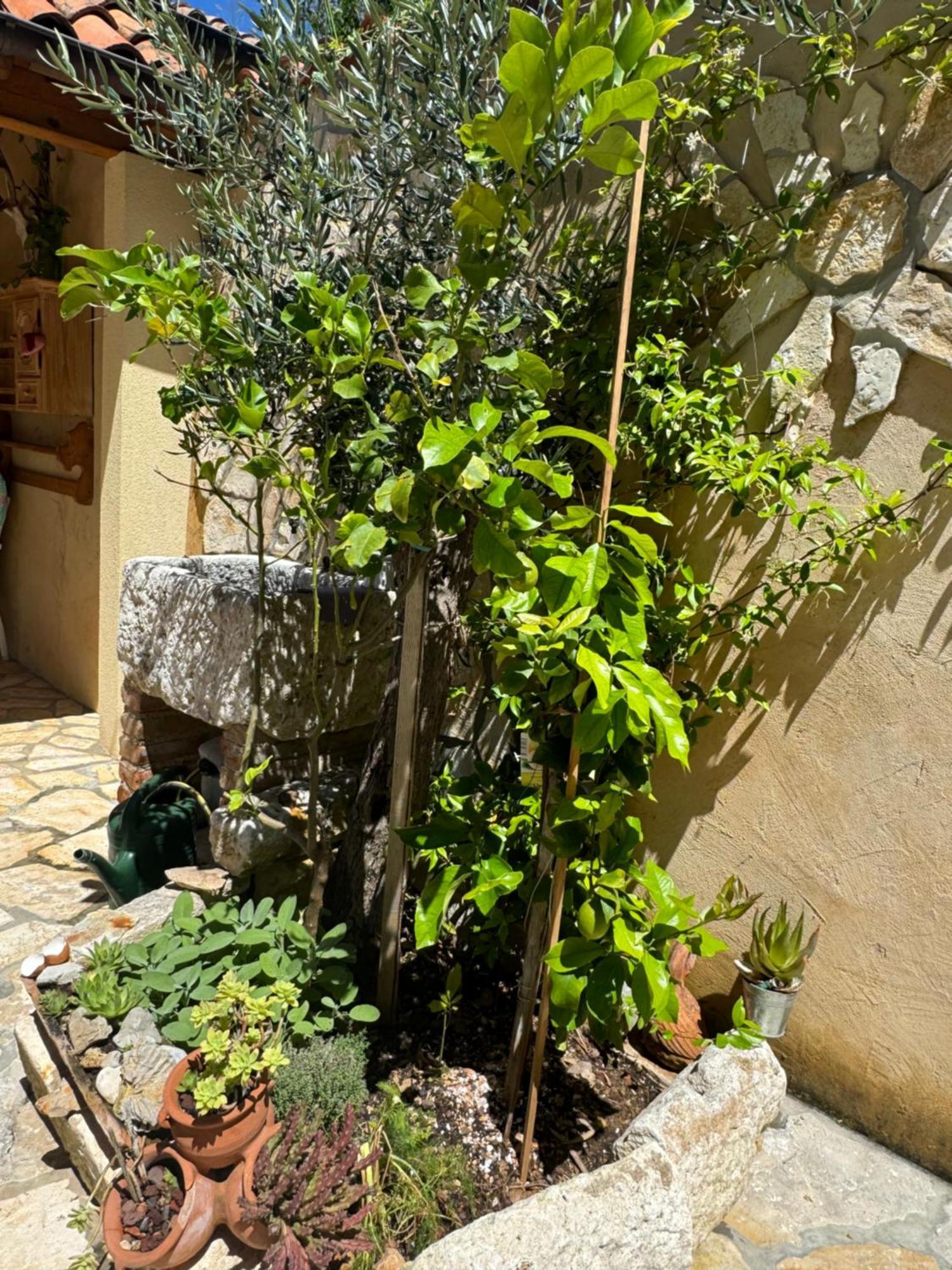 Mediterranes Ferienhaus M. Terrasse Veli Lošinj Екстериор снимка